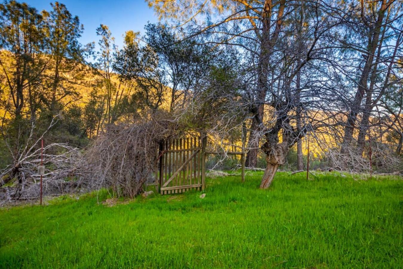 Sierra Vista Lookout Lodge With Creek, Waterfall And Waterholes, Minutes From Bass Lake And Yosemite South Gate North Fork Exteriör bild